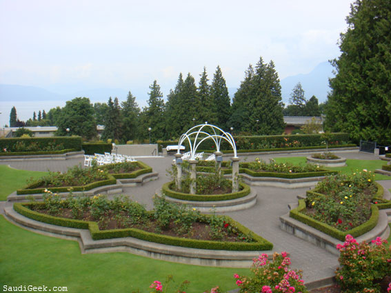 ����� ���� ����..